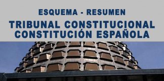 Esquema resumen Tribunal Constitucional