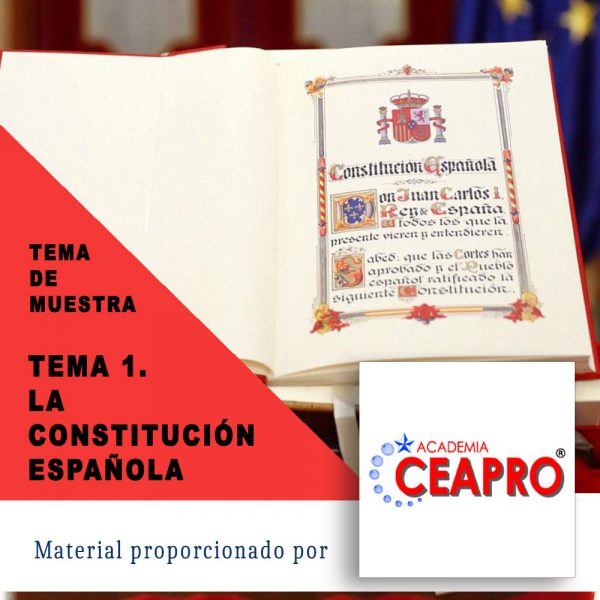 Constitución Española - LeyesBonitas